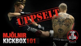 Uppselt  Kickbox 101